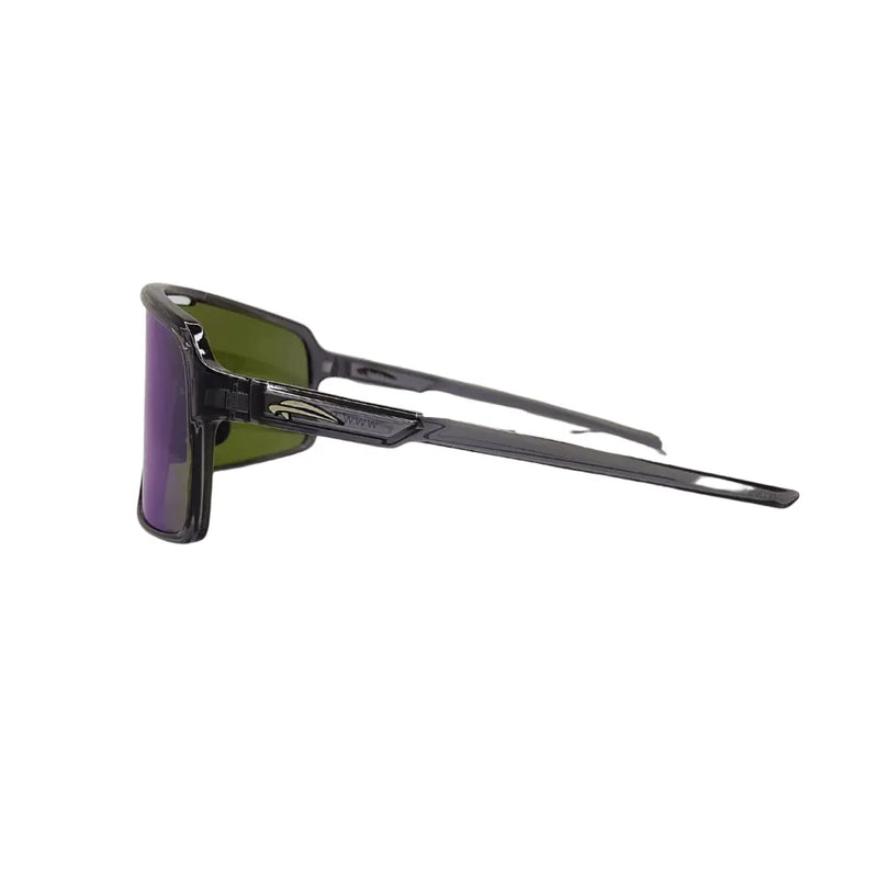 Load image into Gallery viewer, Atmosphere Raptor Sunglass Metallic Silver