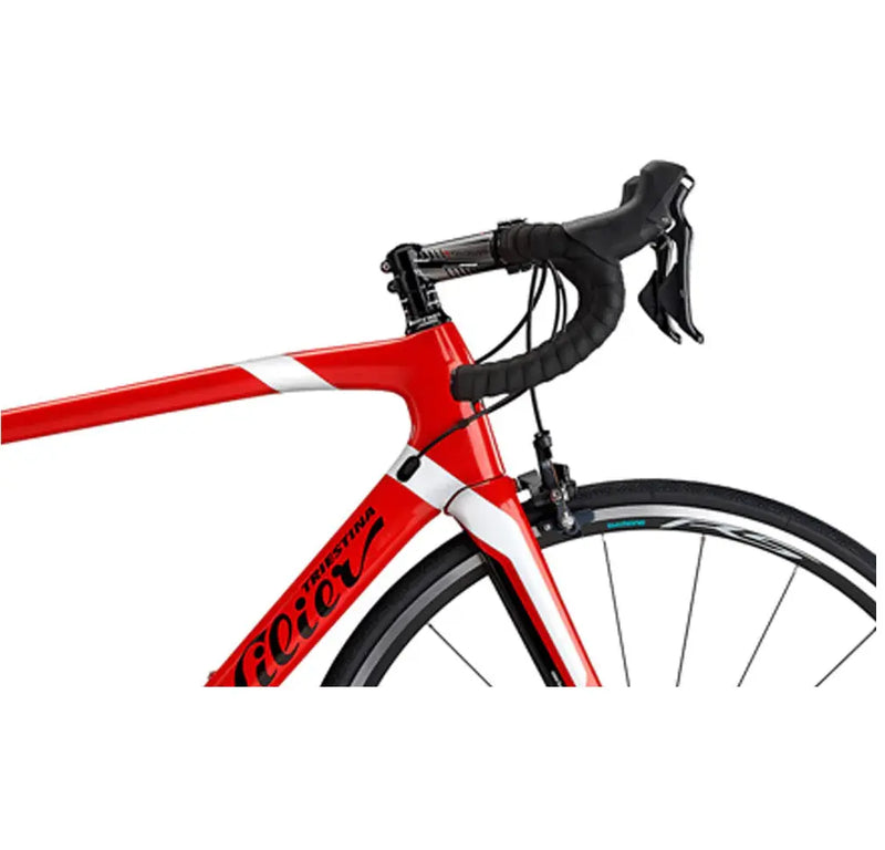 Load image into Gallery viewer, WILIER ROADBIKE | GTR TEAM DISC 105 - MADOVERBIKING