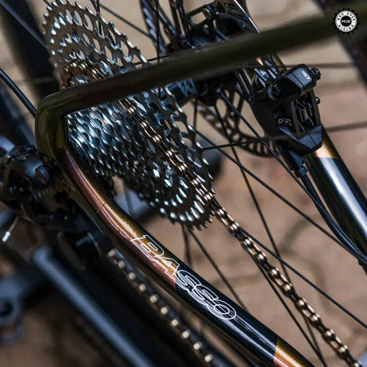 BASSO PALTA DISC | CARBON, CAMPAGNOLO EKAR 1x13 SPEED (POSEIDON)