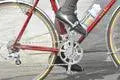 Load image into Gallery viewer, MKS Sylvan Touring Pedals (Blue)
