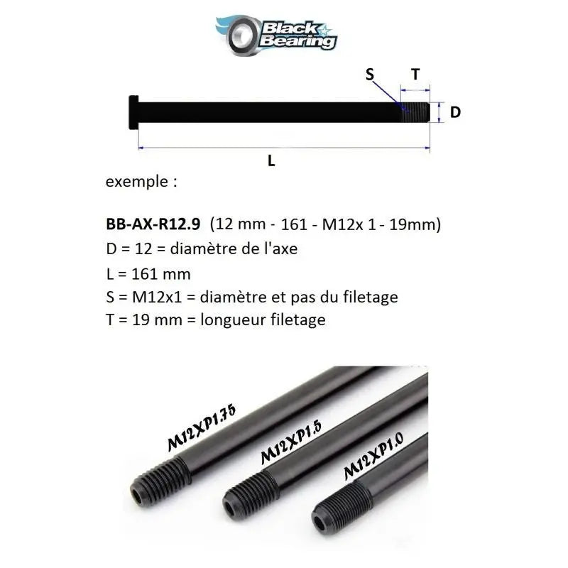 Load image into Gallery viewer, Blackbearing R12.3 12mm Thru Axle Blackbearing MADOVERBIKING
