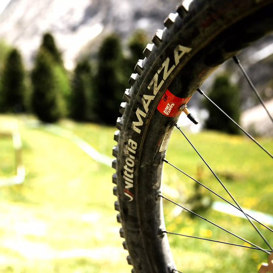VITTORIA MAZZA ENDURO G2.0 | (27.5X2.4) FOR MTB - MADOVERBIKING